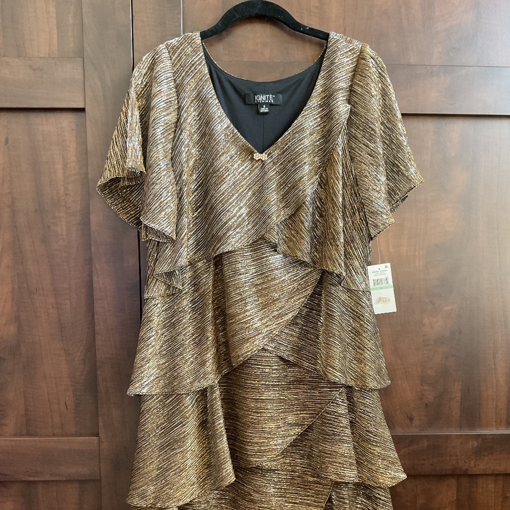 Ignite Evenings, metallic silver and gold lovely formal dress size 8